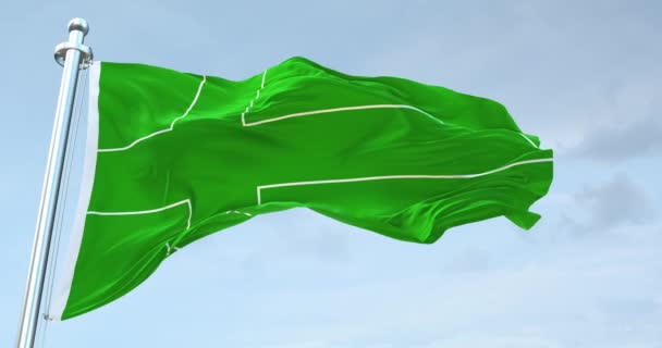 Ladonia Flag Waving — 图库视频影像