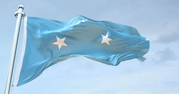 Mikronezya Birleşik Devletleri Bayrağı Dalgalanıyor — Stok video