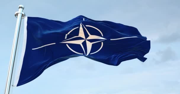 Nato Flagge Weht — Stockvideo