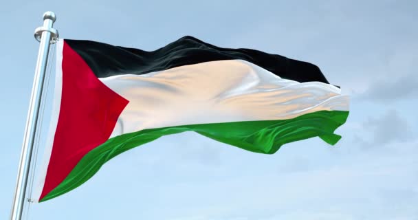 Флаг Палестинской Республики Размахивая — стоковое видео