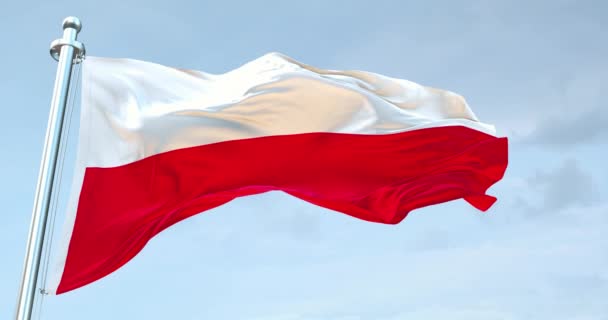 Флаг Польши Машущий — стоковое видео
