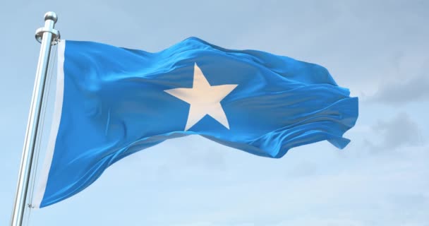 Somali Bayrağı Sallıyor — Stok video