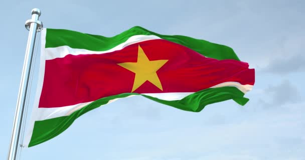 Surinam Bayrağı Sallıyor — Stok video