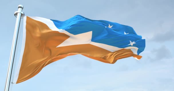 Tierra Del Fuego Provinsen Flagga Viftar Med — Stockvideo