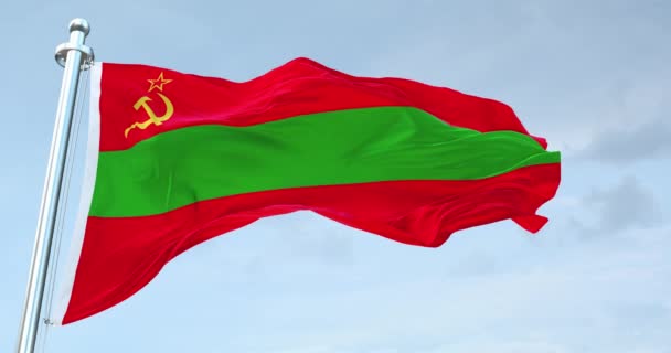 Transnístria Bandeira Acenando — Vídeo de Stock