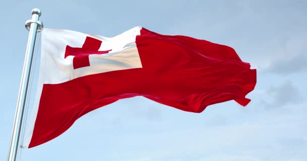 Флаг Тонга Размахивает — стоковое видео