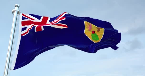 Islas Turcas Caicos Bandera Ondeando — Vídeo de stock