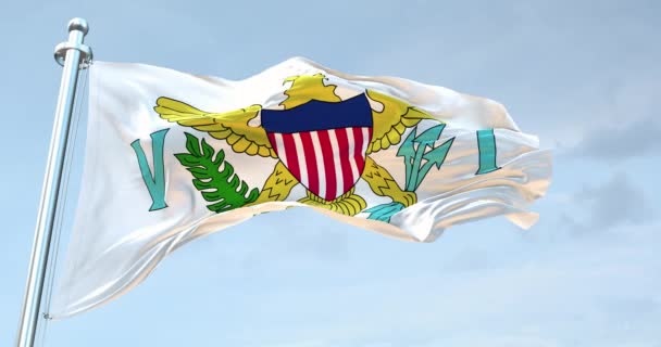 Wyspy Dziewicze Flaga Usa Macha — Wideo stockowe