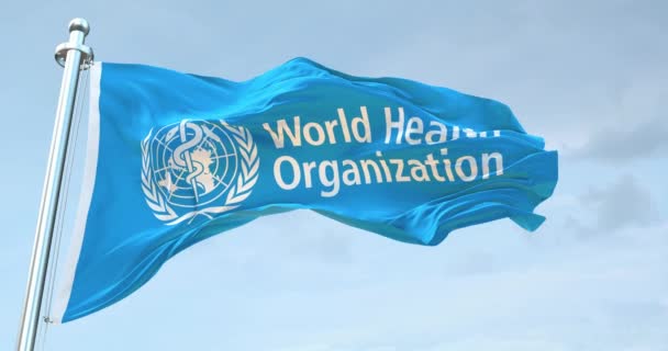 Världshälsoorganisationen Flaggspel — Stockvideo