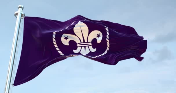 World Scout Flagge Schwenken — Stockvideo