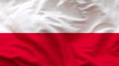 Polonya Ulusal Bayrağı Kumaş Kumaşı