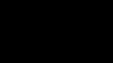 Avrupa Birliği Bayrak Geçişleri 4k 