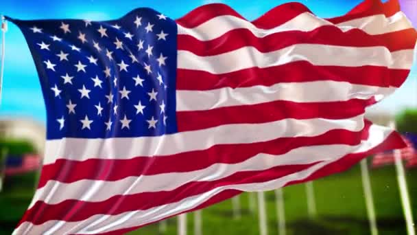 Usa Independence Day — Vídeo de Stock