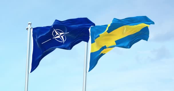 Nato Zweedse Vlag Zwaaiend Met — Stockvideo