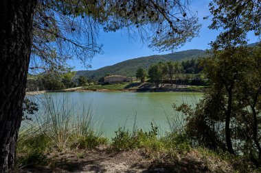 Piknik alanı, bir göl ve arka planda bir orman olan arazi rezervuarı.
