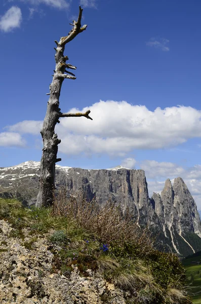 İtalya, Güney Tyrol — Stok fotoğraf