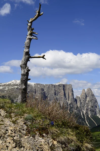 Itália, Tirol do Sul — Fotografia de Stock