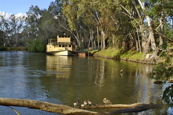 Australia, murray river — Zdjęcie stockowe