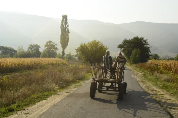 BULGARIEN — Stockfoto