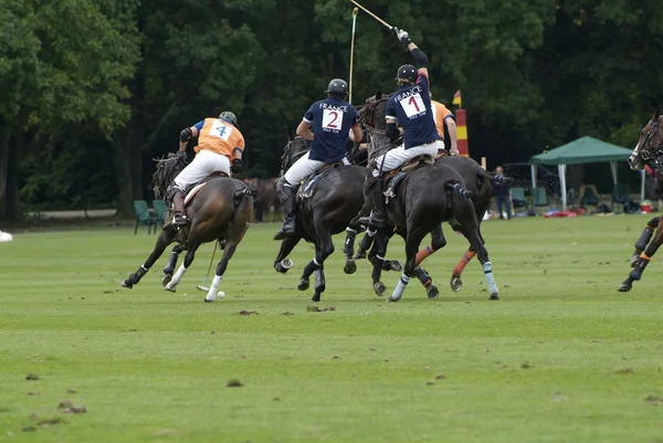 Polo Sport — Stock Photo, Image