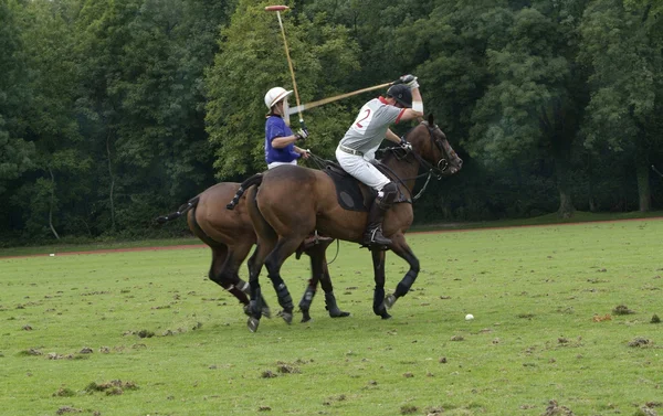 Desporto de pólo — Fotografia de Stock