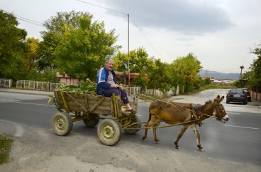 Bulgaristan, taşıma