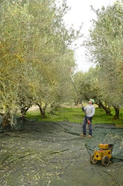 Yunanistan, Girit