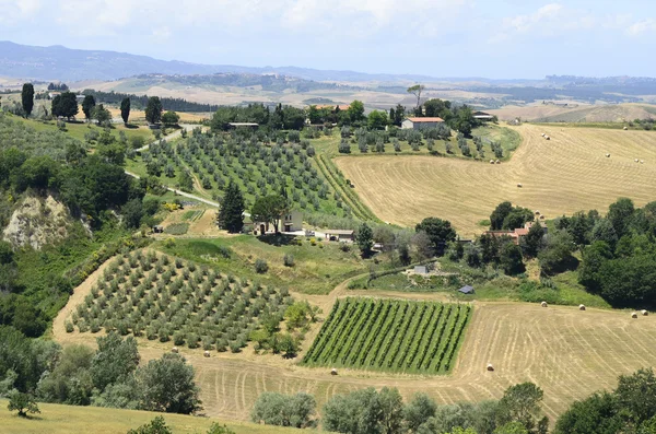 Italien, Toskana — Stockfoto