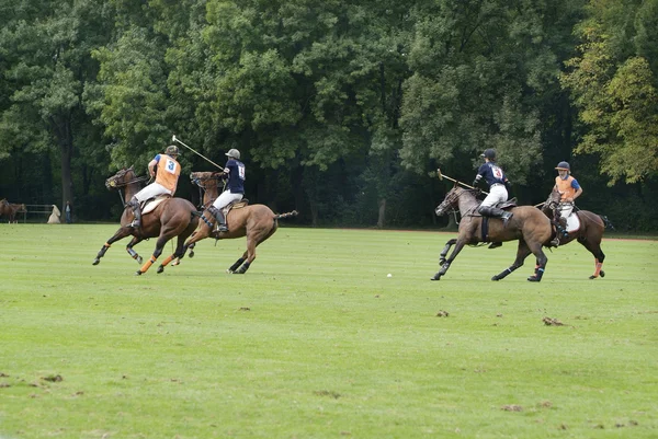 Desporto de pólo — Fotografia de Stock