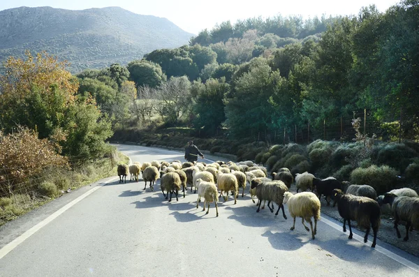 Grecja, Kreta — Zdjęcie stockowe