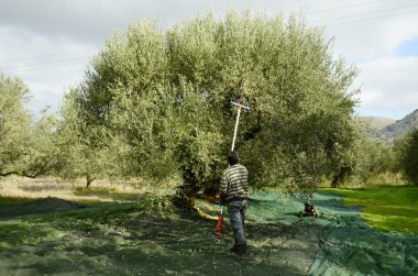 Yunanistan, Girit