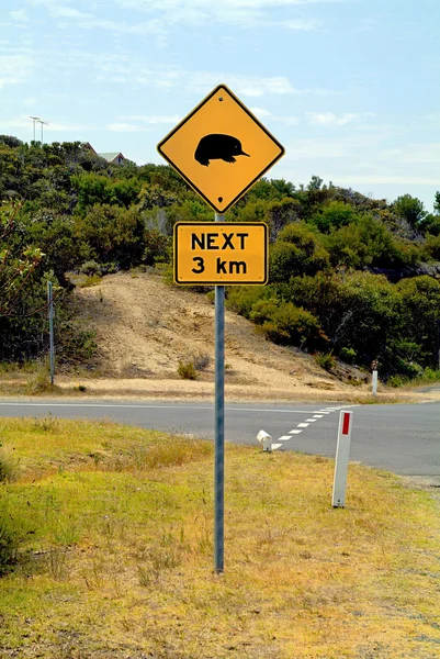 Australia, road sign — Stock Photo, Image