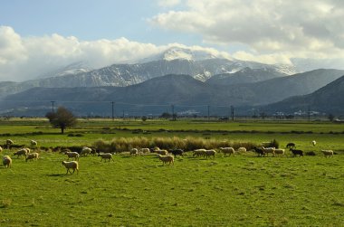 Yunanistan, Girit
