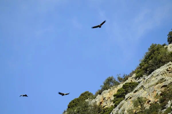 Grecia, Creta — Foto de Stock