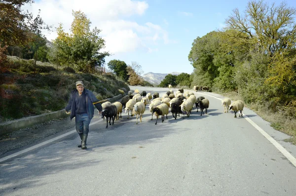 Yunanistan, Girit — Stok fotoğraf