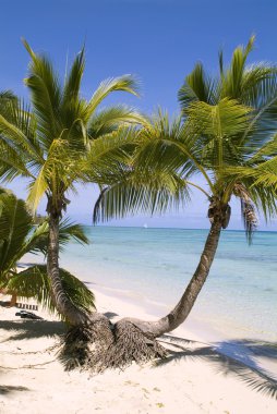 Fiji, plaj