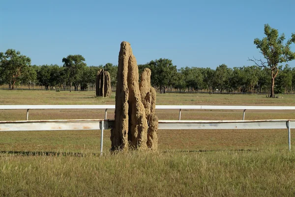 Australia, Northern Territory — Stock Photo, Image