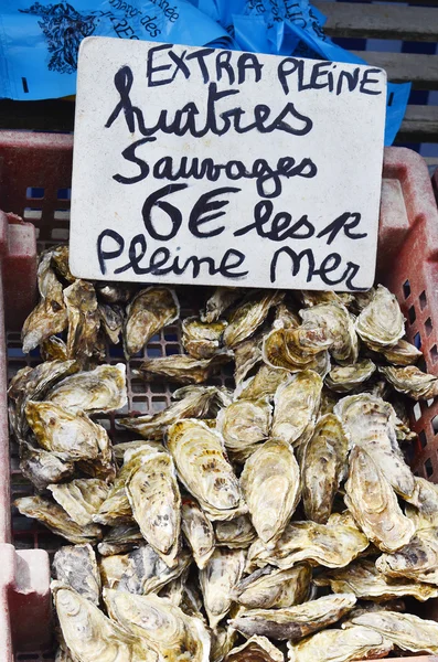 Fransa, brittany — Stok fotoğraf