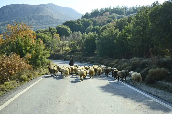 Grécia, Creta — Fotografia de Stock