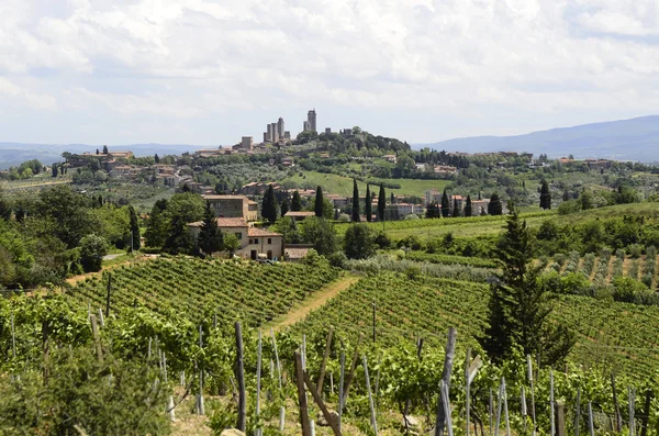 Italy, Tuscany — Stock Photo, Image