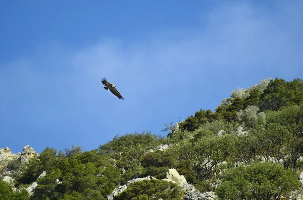 Grecia, Creta — Foto de Stock