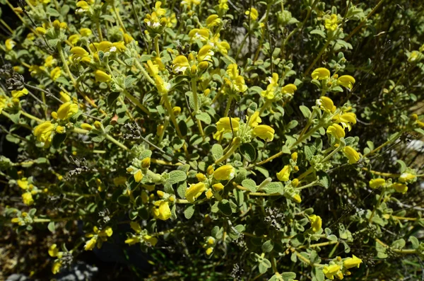 Yunanistan, Girit — Stok fotoğraf