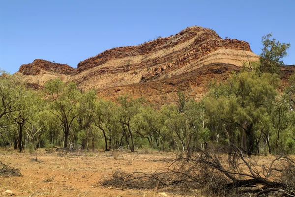 Australien, nördliches Gebiet — Stockfoto