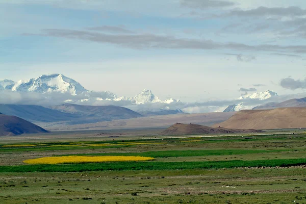 Cina, Tibet, Himalaya — Foto Stock