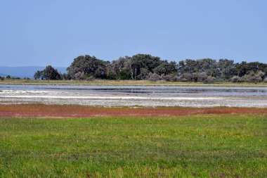 Avusturya, Burgenland 'daki Neusiedlersee-Seewinkel ulusal parkı, Pannonian ovalarında, bozkır manzarası, sulak alanlar, tuz göletleri ve kuş yaşamı ile bilinen popüler gezi merkezi.