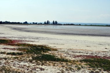 Avusturya, Burgenland 'daki Neusiedlersee-Seewinkel ulusal parkı, Pannonian ovalarında, bozkır manzarası, sulak alanlar, tuz göletleri ve kuş yaşamı ile bilinen popüler gezi merkezi.