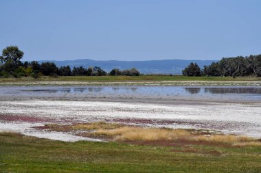 Avusturya, Burgenland 'daki Neusiedlersee-Seewinkel ulusal parkı, Pannonian ovalarında, bozkır manzarası, sulak alanlar, tuz göletleri ve kuş yaşamı ile bilinen popüler gezi merkezi.