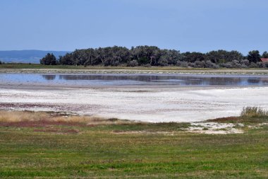Avusturya, Burgenland 'daki Neusiedlersee-Seewinkel ulusal parkı, Pannonian ovalarında, bozkır manzarası, sulak alanlar, tuz göletleri ve kuş yaşamı ile bilinen popüler gezi merkezi.