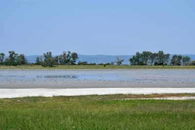 Avusturya, Burgenland 'daki Neusiedlersee-Seewinkel ulusal parkı, Pannonian ovalarında, bozkır manzarası, sulak alanlar, tuz göletleri ve kuş yaşamı ile bilinen popüler gezi merkezi.