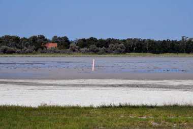 Avusturya, Burgenland 'daki Neusiedlersee-Seewinkel ulusal parkı, Pannonian ovalarında, bozkır manzarası, sulak alanlar, tuz göletleri ve kuş yaşamı ile bilinen popüler gezi merkezi.